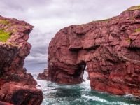 Tickle Cove